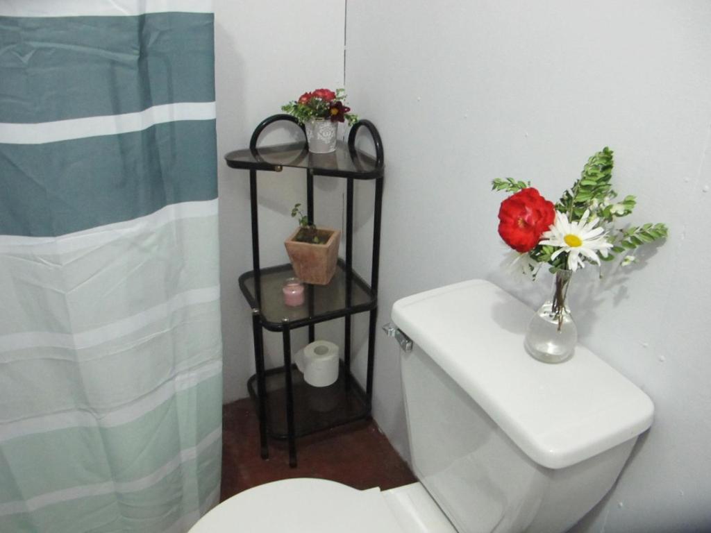 Habitaciones Centro ปูกอน ภายนอก รูปภาพ